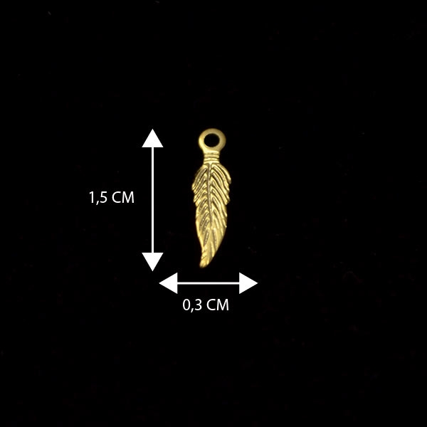 C147O.jpg C147O - Imagen 1