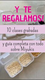 Kit Miyuki 28 colores -10 Clases Gratis y Guía Miyuki de REGALO y Varios más